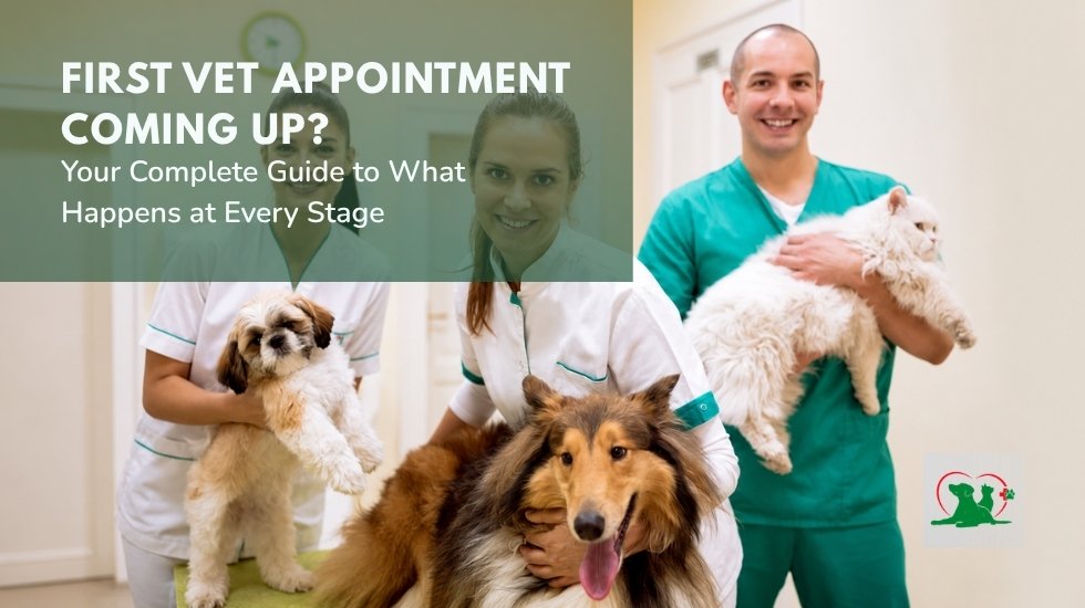 First Vet Appointment Guide for New Pet Parents First vet appointment guide showing veterinarians with a dog and cat during a pet wellness check for new pet parents.