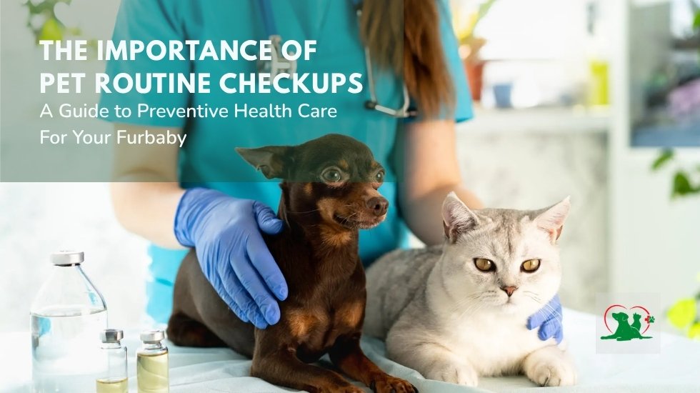 Veterinarian performing a routine health checkup on a dog and cat to promote preventive pet healthcare and early disease detection.