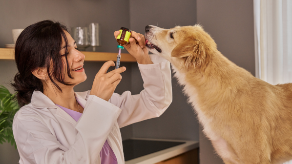 List of Canine Vaccines