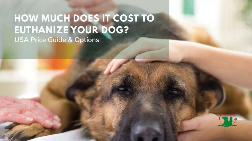 How Much Does It Cost to Euthanize Your Dog