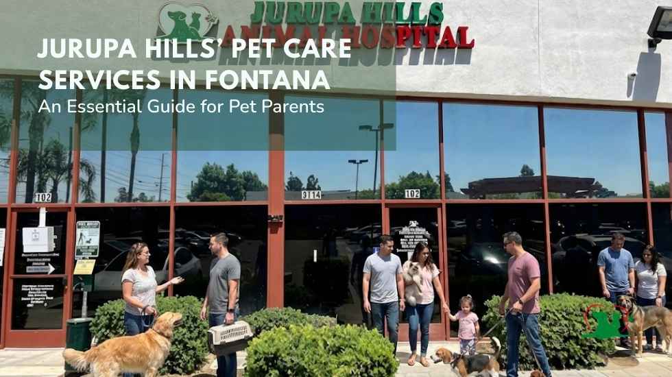 Jurupa Hills’ Pet Care Services in Fontana
