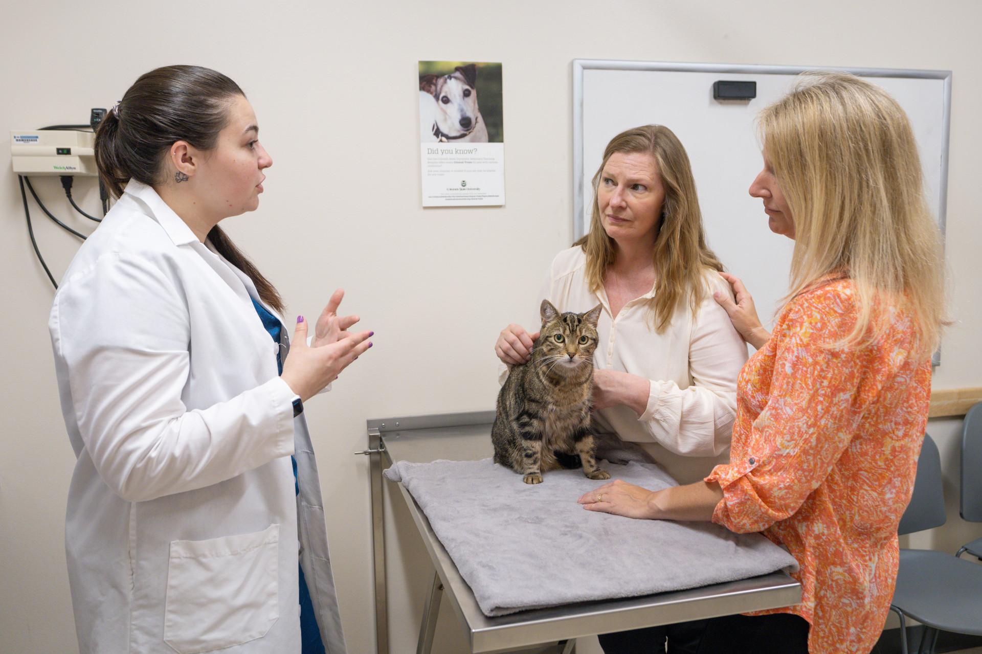 Veterinarian discussing a pet’s condition and euthanasia options with an owner