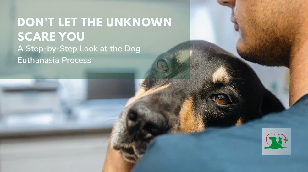Dog owner comforting a pet during the dog euthanasia process at a veterinary clinic in Fontana, CA
