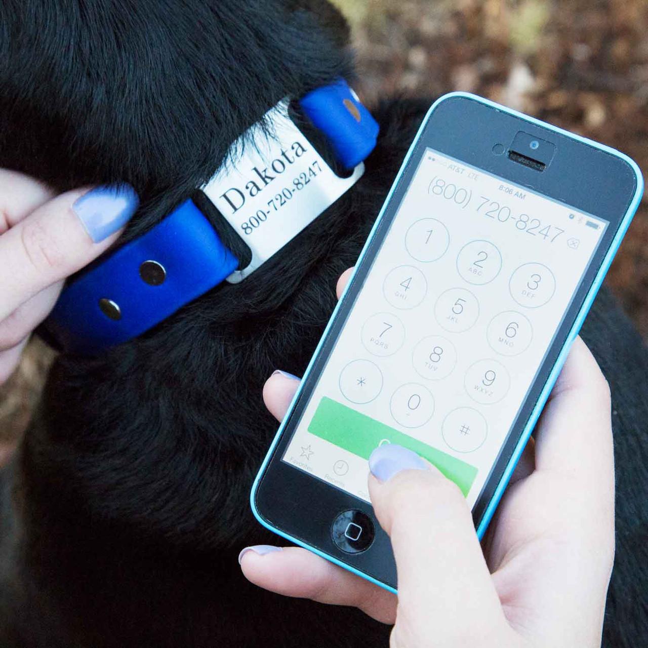 Pet microchip and collar ID tag showing permanent identification benefits for dogs and cats
