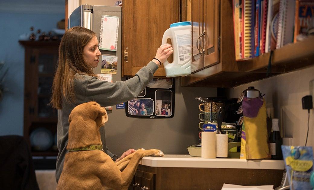 Pet poisoning prevention tips for keeping dogs and cats safe at home