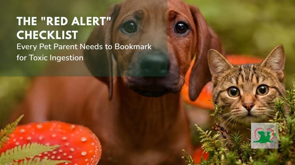 Red Alert Checklist for Toxic Ingestion in Dogs and Cats Dog and cat with red alert checklist for toxic ingestion in pets